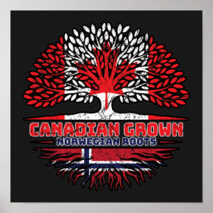 Poster Bandeira de Raízes de Árvore Norueguesa do Canadá