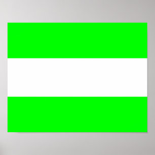 Pôster Bandeira de Roterdão