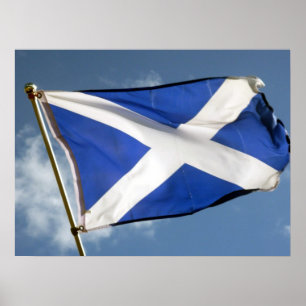 Pôster bandeira de scotland