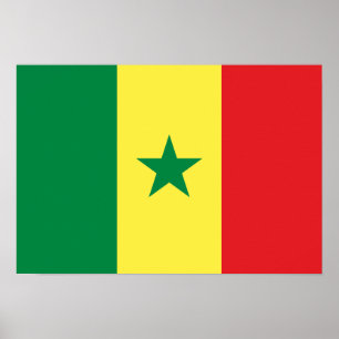 Pôster Bandeira de Senegal