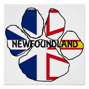 Pôster bandeira de Terra Nova e Labrador nome paw