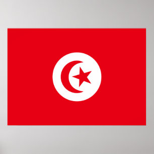 Poster Bandeira de Tunísia