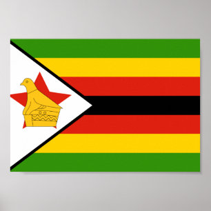 Pôster Bandeira de Zimbabwe