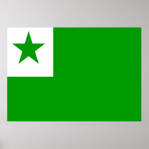 Pôster Bandeira do esperanto