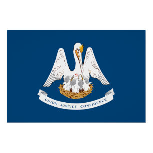 Pôster Bandeira do Estado da Louisiana