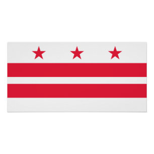 Pôster Bandeira do estado de Washington DC