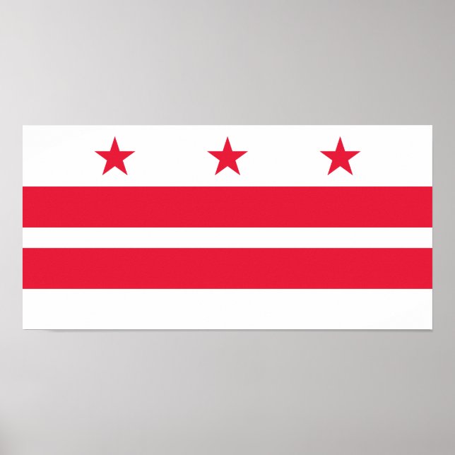 Poster Bandeira do Estado de Washington DC (Frente)