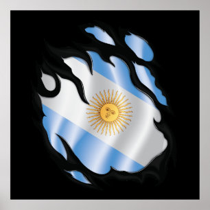 Poster Bandeira do Governo argentino