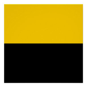 Pôster Bandeira do IJsselstein