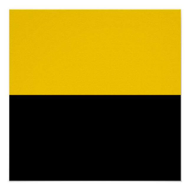 Pôster Bandeira do IJsselstein (Frente)