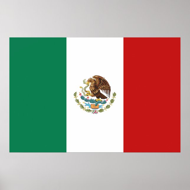Pôster Bandeira do México (Frente)