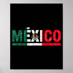 Poster bandeira do México orgulho mexicano raízes mexican
