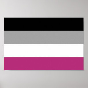 Poster Bandeira do Orgulho da Ginefilia