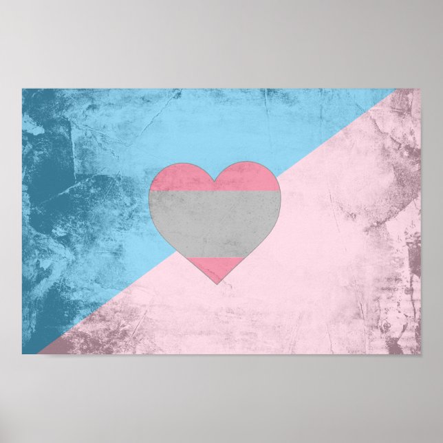 PÔSTER BANDEIRA DO ORGULHO DO JOGO DE IDADE (Frente)