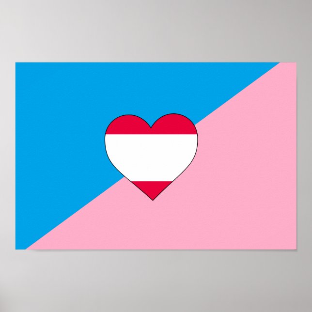 PÔSTER BANDEIRA DO ORGULHO DO JOGO DE IDADE (Frente)