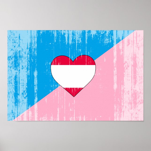 PÔSTER BANDEIRA DO ORGULHO DO JOGO DE IDADE (Frente)