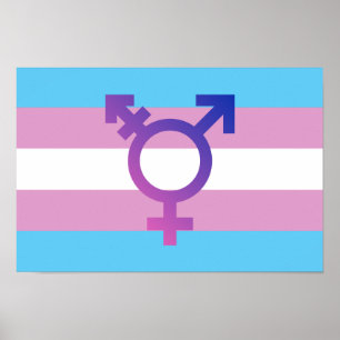 Poster Bandeira do orgulho do transporte