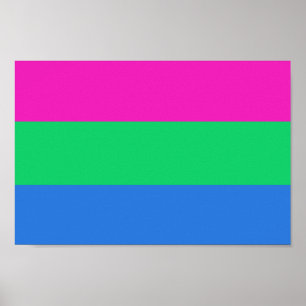 Poster Bandeira do Orgulho Polissexual