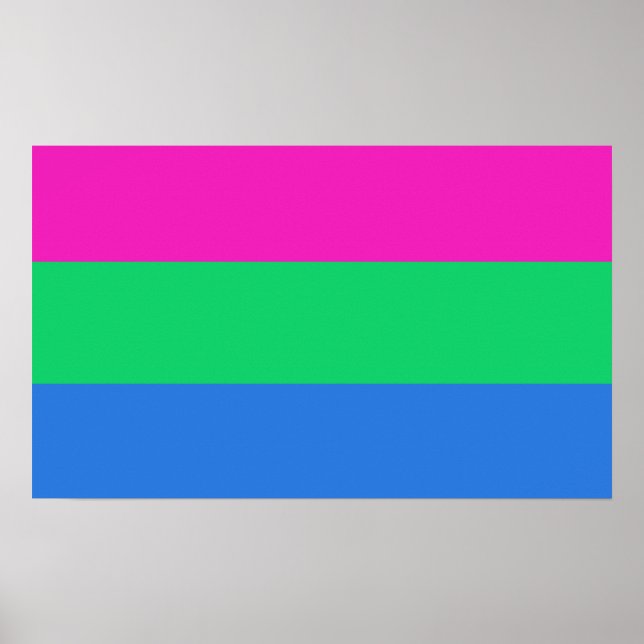 Poster Bandeira do Orgulho Polissexual (Frente)