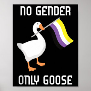 Poster Bandeira do Orgulho Sem Gênero do Ganso Não Binári