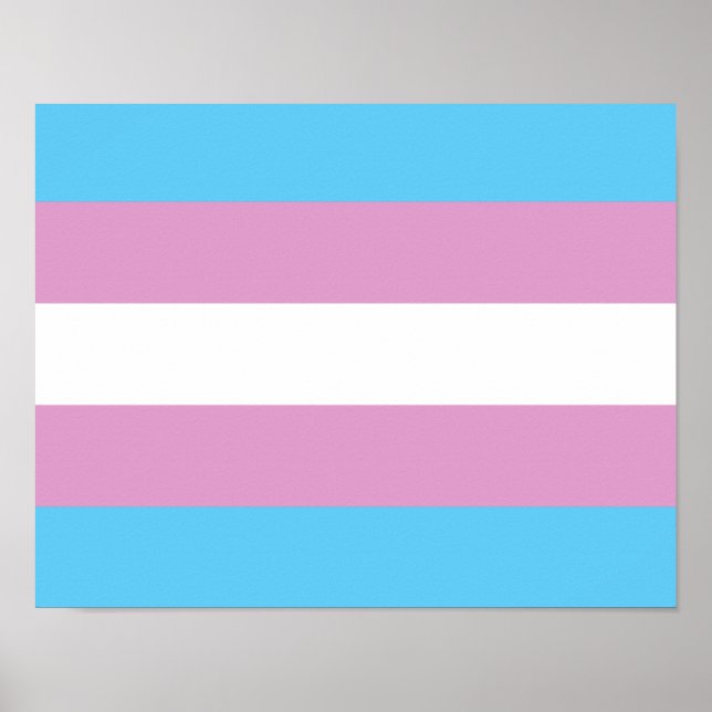 Poster Bandeira do Orgulho Trans - (2) (Frente)