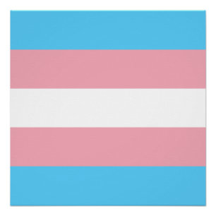 Pôster Bandeira do Orgulho Transgênero