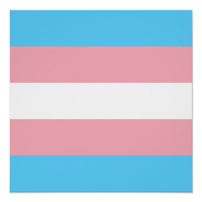 Pôster Bandeira do Orgulho Transgênero (Frente)