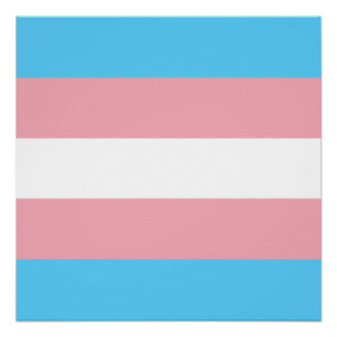 Pôster Bandeira do Orgulho Transgênero - Arco-íris LGBT