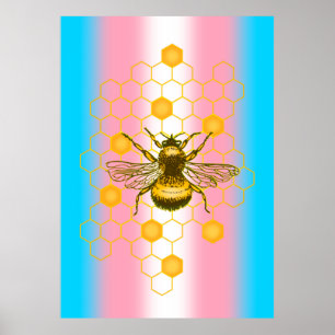 Poster Bandeira do orgulho transgênero, Bee-live, Love is
