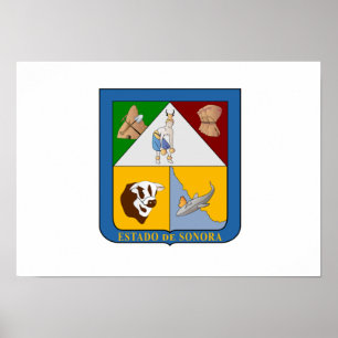 Pôster Bandeira do Sonora