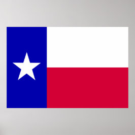 Pôster Bandeira do Texas