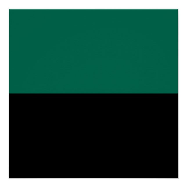 Pôster Bandeira do Texel (Frente)