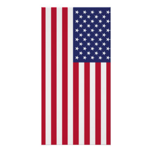 Pôster Bandeira dos Estados Unidos da América