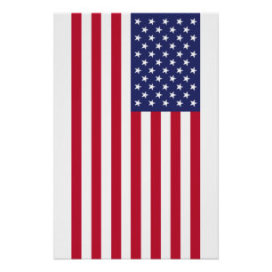 Pôster Bandeira dos Estados Unidos da América