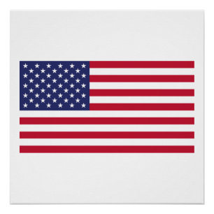 Pôster Bandeira dos Estados Unidos da América
