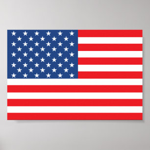 Pôster Bandeira dos EUA