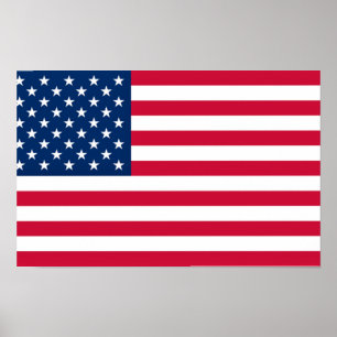 Poster Bandeira dos EUA - Estados Unidos da América - Pa