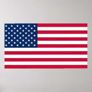 Poster Bandeira dos EUA - Estados Unidos da América - Pa