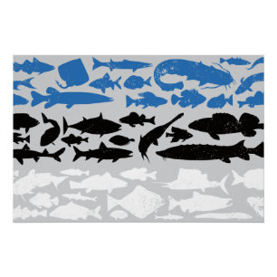 Pôster Bandeira Estoniana Feita de Peixe - Design de Pesc