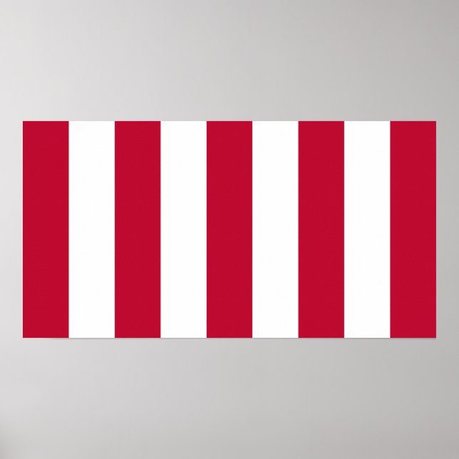 Poster Bandeira Filhos Da Liberdade 9 Dos EUA (Frente)