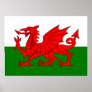 Poster Bandeira galesa Dragão vermelho galês