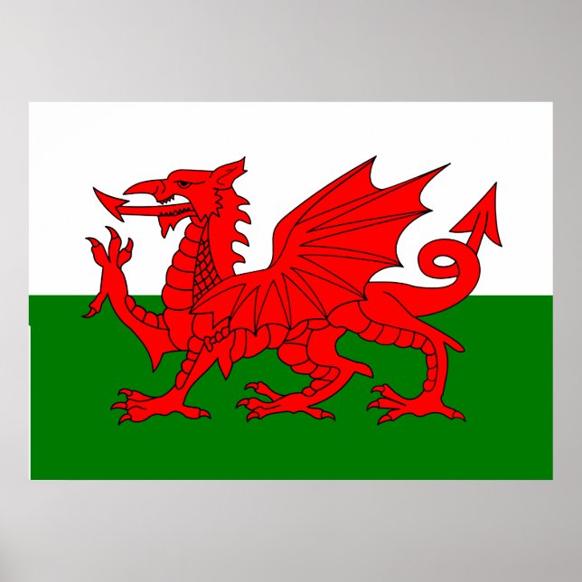 Poster Bandeira galesa Dragão vermelho galês (Frente)