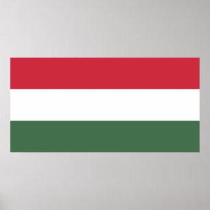 Poster Bandeira Húngara