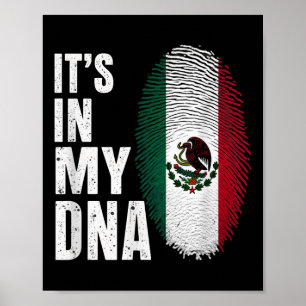 Poster Bandeira Mexicana Está No Meu Dna