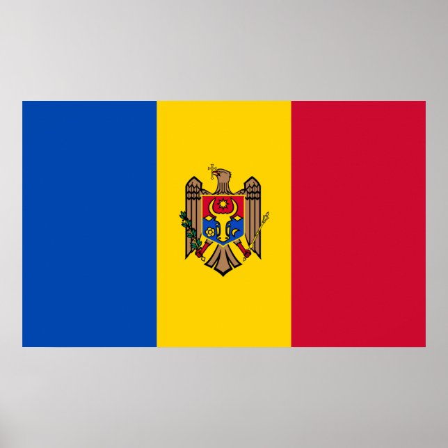 Poster Bandeira Moldovan (Frente)