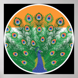 Poster Bandeira Nacional Indiana de Peafowl Índia