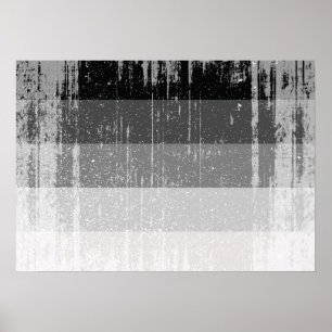 Pôster BANDEIRA RETA DISTRUIDA -.png