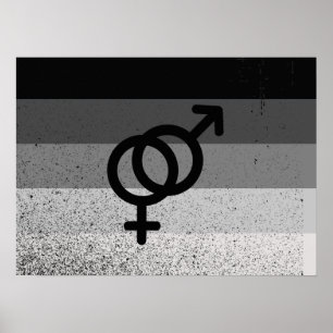 Pôster BANDEIRA RETA ORIGINAL COM SÍMBOLO -.png