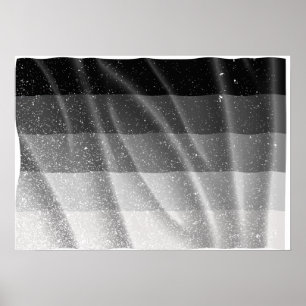 Poster BANDEIRA RETA VOANDO -.png