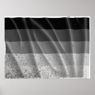 Pôster BANDEIRA RETA VOANDO -.png